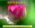 法轮功,保定大法弟子恭祝师尊新年快乐(28条)

