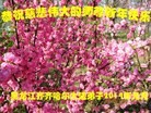 ֹ,󷨵ӹףʦ(24)
