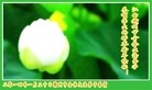 ֹ,󷨵ӹףʦ(30)
