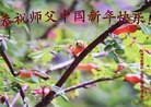 ֹ,󷨵ӹףʦ(26)
