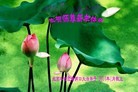 ֹ,󷨵ӹףʦ(26)
