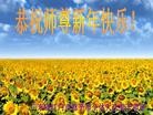 ֹ,㶫󷨵ӹףʦ(24)
