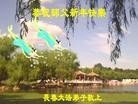 法轮功,长春大法弟子恭祝师尊新年快乐(22条)
