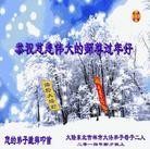 法轮功,吉林市大法弟子恭祝师尊新年快乐(23条)
