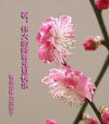 ֹ,ӱ󷨵ӹףʦԪ(21)
