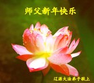 ֹ,ʡ󷨵ӹףʦԪ(21)
