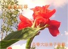 ֹ,󷨵ӹףʦԪ(18)
