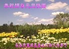 ֹ,󷨵ӹףʦԪ(18)
