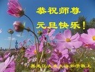 法轮功,大庆大法弟子恭祝师尊元旦快乐(22条)

