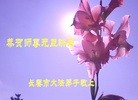 ֹ,󷨵ӹףʦԪ(18)
