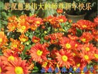 法轮功,云南大法弟子恭祝师尊元旦快乐(19条)
