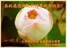 ֹ,󷨵ӹףʦԪ(22)
