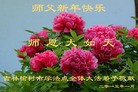 ֹ,󷨵ӹףʦԪ(19)
