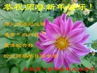 ֹ,󷨵ӹףʦԪ(22)
