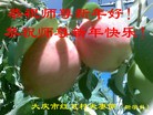 ֹ,󷨵ӹףʦԪ(22)
