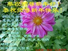 ֹ,󷨵ӹףʦԪ(22)
