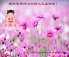 法轮功,云南大法弟子恭祝师尊元旦快乐(19条)
