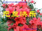 ֹ,д󷨵ӹףʦԪ(23)
