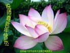 法轮功,吉林省大法弟子恭祝师尊元旦快乐(21条)
