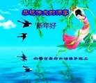 ֹ,ɹŴ󷨵ӹףʦԪ(28)
