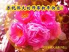 ֹ,ӱ󷨵ӹףʦԪ(18)
