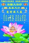 法轮功,重庆大法弟子恭祝师尊元旦快乐(21条)
