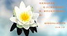 法轮功,重庆大法弟子恭祝师尊元旦快乐(21条)

