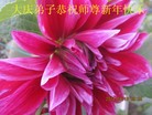 ֹ,󷨵ӹףʦԪ(22)

