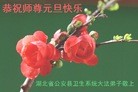 ֹ,󷨵ӹףʦԪ(19)
