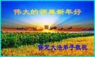 ֹ,󷨵ӹףʦԪ(20)
