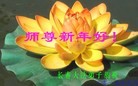 ֹ,󷨵ӹףʦԪ(22)
