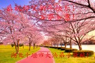 ֹ,󷨵ӹףʦԪ(19)

