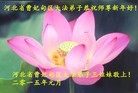 ֹ,ӱ󷨵ӹףʦԪ(20)
