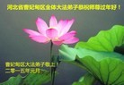 ֹ,ӱ󷨵ӹףʦԪ(20)
