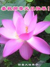 ֹ,ӱ󷨵ӹףʦԪ(20)
