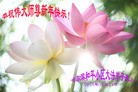 Published on 12/31/2014 ���ֹ�,��½�󷨵��ӹ�ףʦ��Ԫ������(27��)
