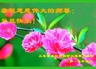 法轮功,乡村大法弟子恭祝师尊元旦快乐(26条)
