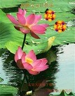 ֹ,󷨵ӹףʦԪ(28)
