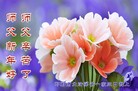 ֹ,ӱ󷨵ӹףʦԪ(20)
