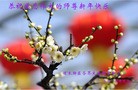 ֹ,ҵ󷨵ӹףʦԪ(31)
