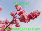 ֹ,󷨵ӹףʦԪ(24)
