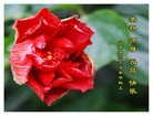 ֹ,ɽ󷨵ӹףʦԪ(23)
