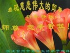 ֹ,㽭󷨵ӹףʦԪ(28)
