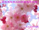 ֹ,ľ˹󷨵ӹףʦԪ(45)
