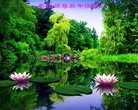 ֹ,ľ˹󷨵ӹףʦԪ(45)
