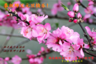 ֹ,ϴ󷨵ӹףʦԪ(26)
