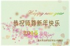 法轮功,重庆大法弟子恭祝师尊元旦快乐(29条)
