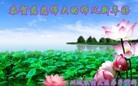 ֹ,󷨵ӹףʦԪ(26)
