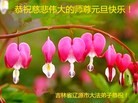 ֹ,ʡ󷨵ӹףʦԪ(26)
