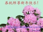 法轮功,石家庄大法弟子恭祝师尊元旦快乐(27条)
